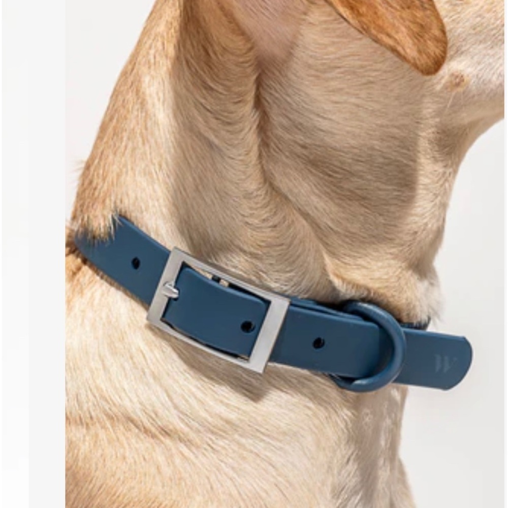 Wild One Dog Collar-Small-Navy